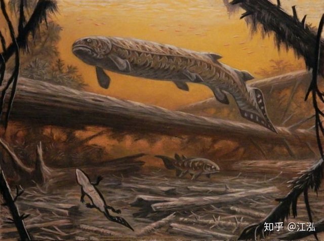 Rhizodus Hibberti: Prehistoric monster fish, the dominant creature in freshwater 3